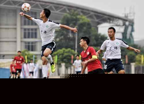 库拉索主帅：我们对德国很了解，但对科特迪瓦、厄瓜多尔不熟